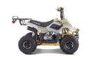 TAO MOTOR B110 - YELLOW