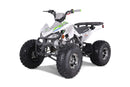 TAO MOTOR CHEETAH PLATINUM - GREEN