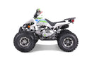 TAO MOTOR CHEETAH PLATINUM - GREEN