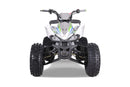 TAO MOTOR CHEETAH PLATINUM - GREEN