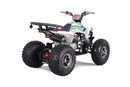 TAO MOTOR CHEETAH PLATINUM - GREEN